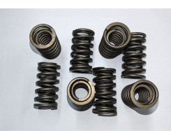 Valve springs (set of 8)