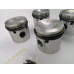 Pistons with rings (+40)